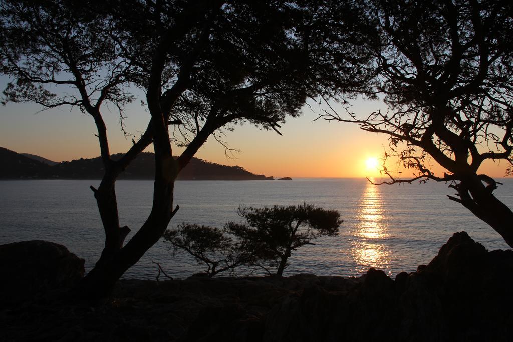 Auberge Du Cap Negre Le Lavandou Exterior photo